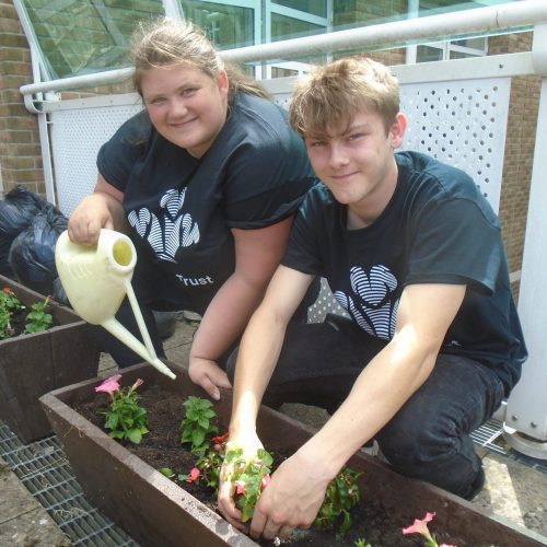 Volunteering Princes Trust Gardening